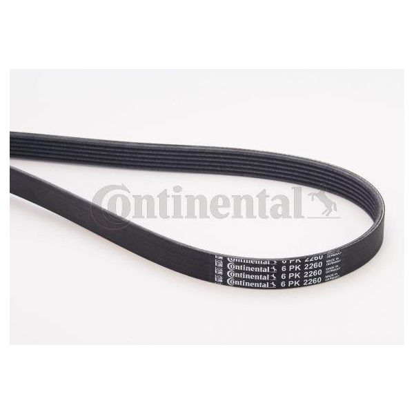 Continental Ctam 6PK2260 Cinghia Trapezoidale Dentata Oe 078903137K Compatibile Con Cherokee, Sc, 6, Classe C, Classe Clc, Clk, Classe E, Classe S, Sprinter, Viano, Vito, Calibra A, Omega, Senator, Vectra, 911-image