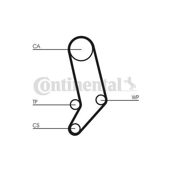 Continental Ctam CT939K4 Set Cinghia Dentata Oe 074198119C Compatibile Con Transporter Iv-image