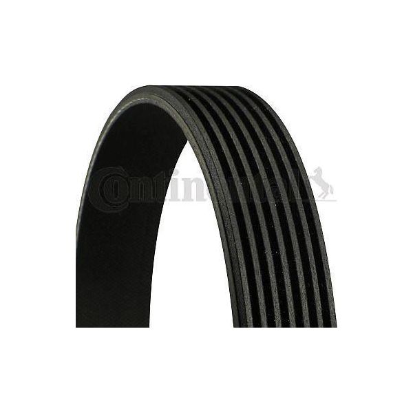 Continental Ctam 7PK1179 Elast Cinghia Trapezoidale Nervata Oe 117205123R Compatibile Con Talisman, Scenic, Megane, Koleos, Kadjar, Clio, Captur, Arkana, X-Trail, Qashqai, Juke, Lodgy, Duster, Dokker-image