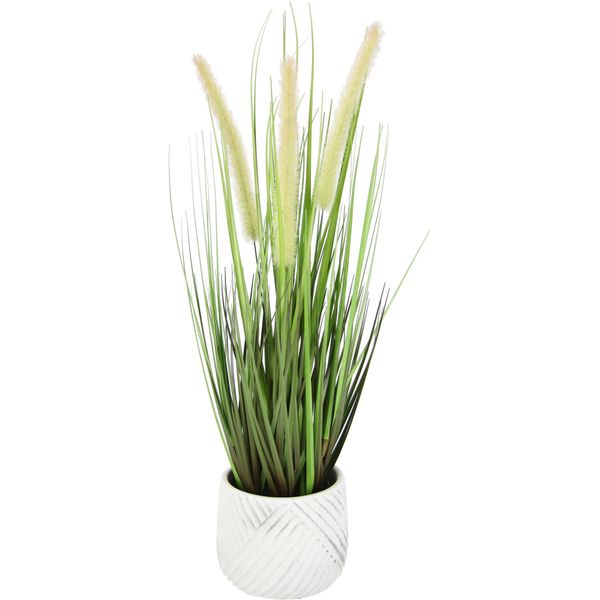 Kunstpflanze I.Ge.A. "Fuchsschwanzgras", GrüN, B:20Cm H:54Cm L:20Cm, Kunstpflanzen, Kunstpflanze, Mit ÜBertopf Kunstgras Deko Borstenhirse Panicoideae SüßGräSer Setaria-image