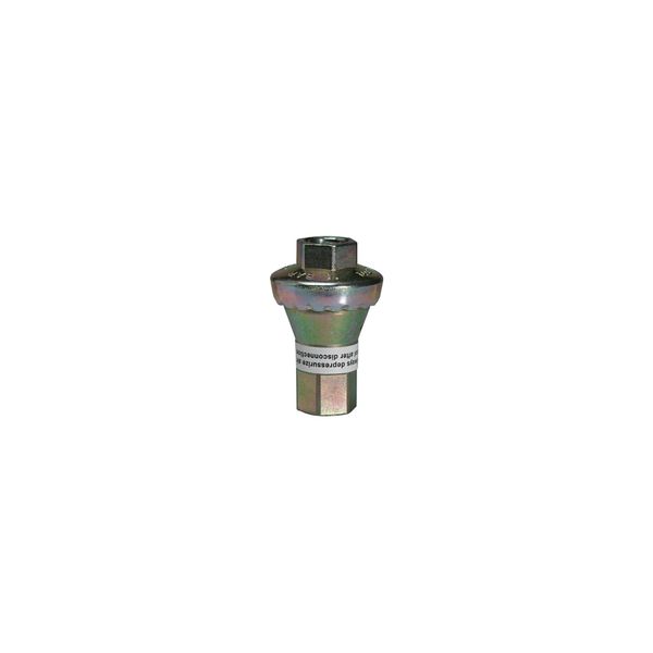 Riegler Inline-Druckregler, 2 X Ig, Ohne SekundäRentlüFtung, G 1/4, 2 Bar (637.13)-image