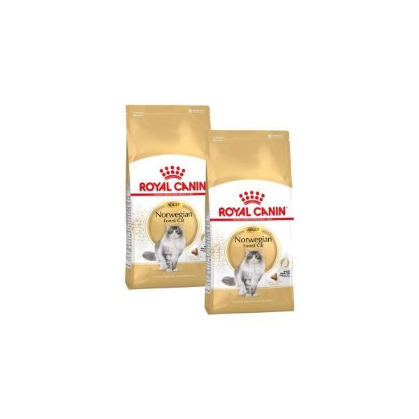Royal Canin NorvéGien Adulte Croquettes Chat 2X10 Kg-image