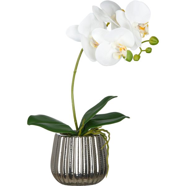 Kunstorchidee Creativ Green "Phalaenopsis", Weiß, H:36Cm, Kunststoff, Kunstpflanzen, Mit Real-Touch-BlüTen-image