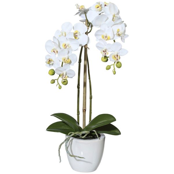 Kunstpflanze Creativ Green "Orchidee Phalaenopsis", Weiß, H:43Cm, Kunststoff, Kunstpflanzen, Kunstpflanze, Im Keramiktopf-image