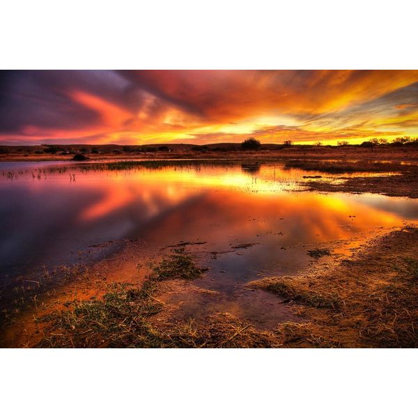 Fototapete Papermoon "Flammender Himmel", Bunt, B:3,5M L:2,6M, Vlies, Tapeten-image