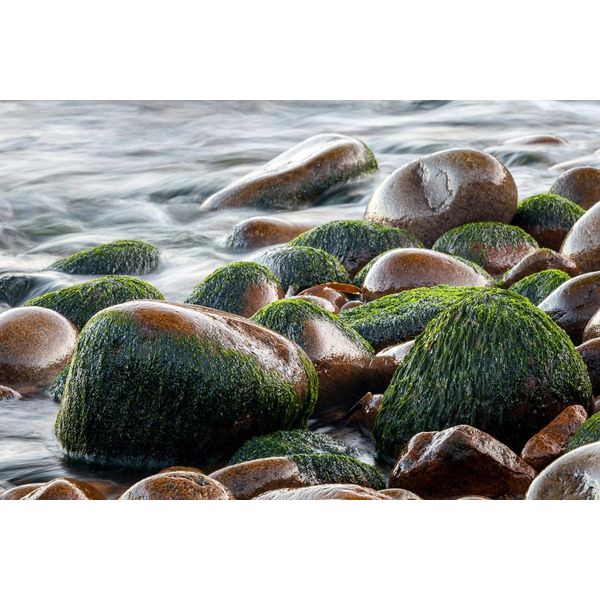 Fototapete Papermoon "Steine Im Wasser", Bunt, B:4,5M L:2,8M, Vlies, Tapeten-image