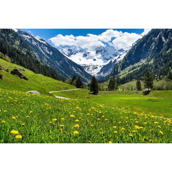 Fototapete Papermoon "Alpen Tirol Gebirge", Bunt, B:5M L:2,8M, Vlies, Tapeten-image