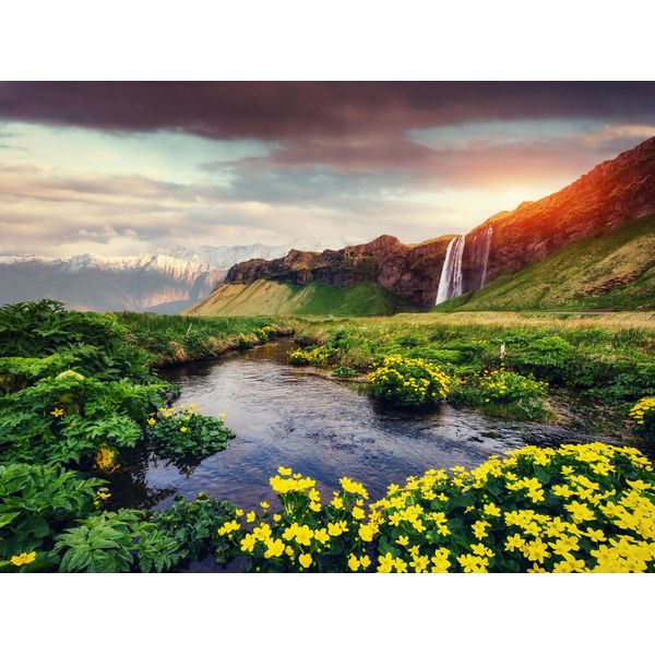 Fototapete Papermoon "Seljalandfoss Waterfall Iceland", Bunt, B:5M L:2,8M, Vlies, Tapeten-image