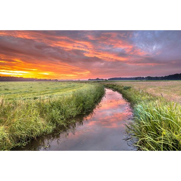 Fototapete Papermoon "Fluss In Feld", Bunt, B:3,5M L:2,6M, Vlies, Tapeten-image