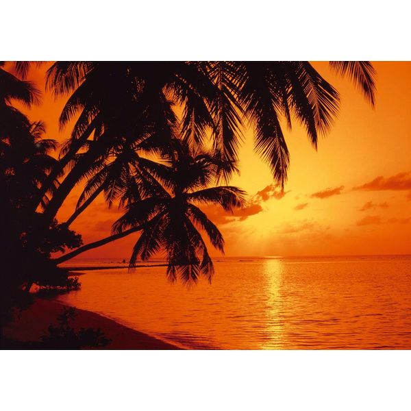 Fototapete Papermoon "Tropic Sunset", Bunt, B:5M L:2,8M, Vlies, Tapeten-image