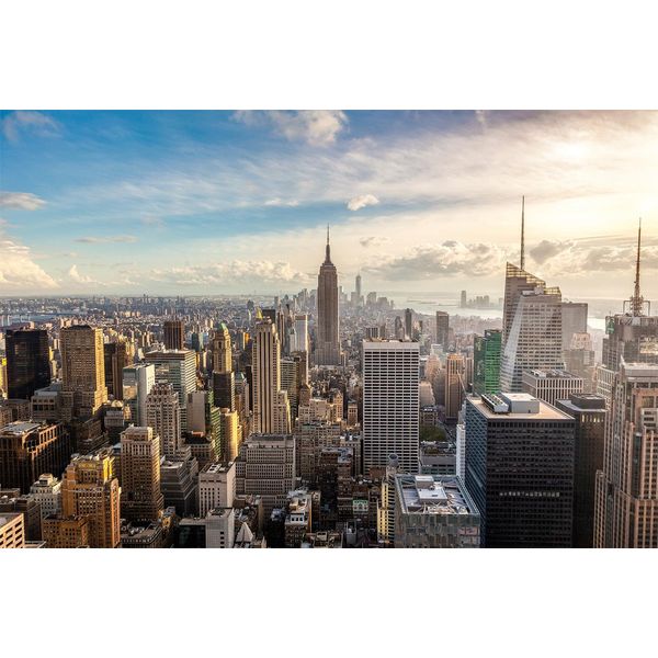 Fototapete Papermoon "New York City Skyline", Bunt, B:4M L:2,6M, Vlies, Tapeten-image