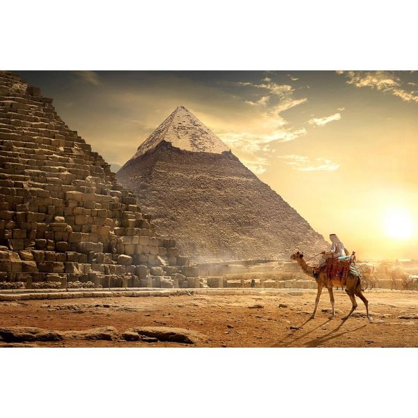 Fototapete Papermoon "Kamel Vor Pyramiden", Bunt, B:4,5M L:2,8M, Vlies, Tapeten-image