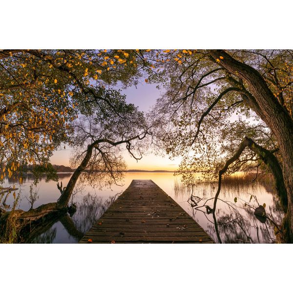 Fototapete Papermoon "Photo-Art Keller, Herbst", Bunt, B:5M L:2,8M, Vlies, Tapeten-image
