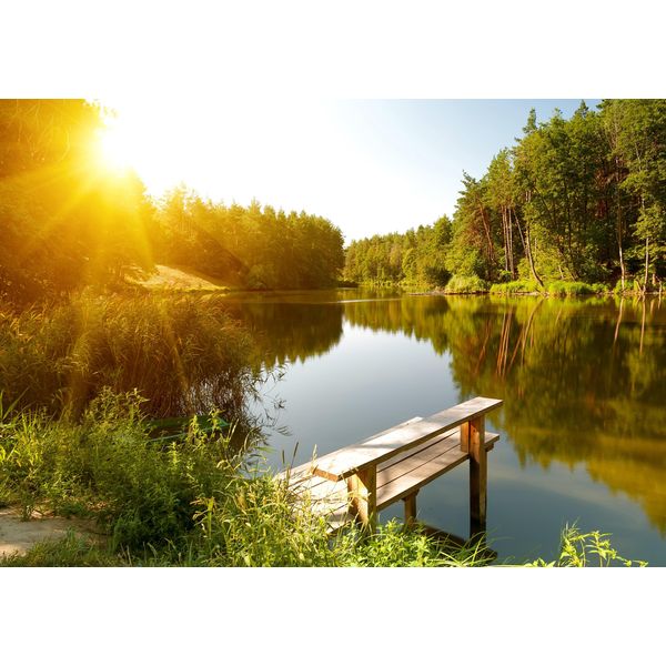 Fototapete papermoon "Summer Forest Lake", Bunt, B:3,5M L:2,6M, Vlies, Tapeten-image