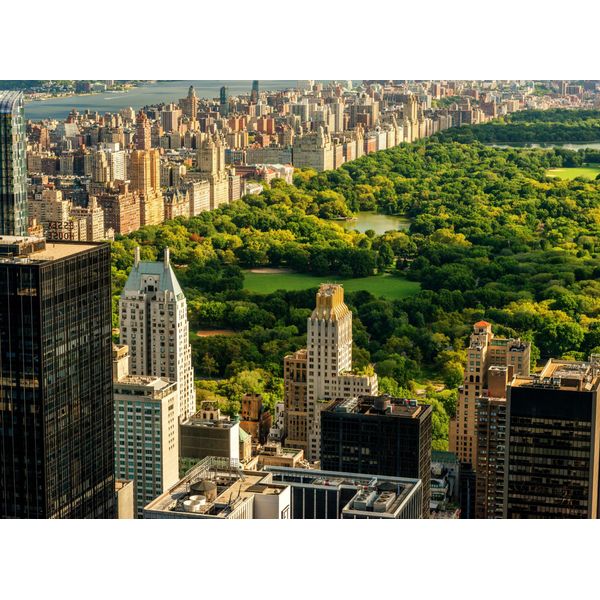 Fototapete Papermoon "Central Park Manhattan", Bunt, B:5M L:2,8M, Vlies, Tapeten-image