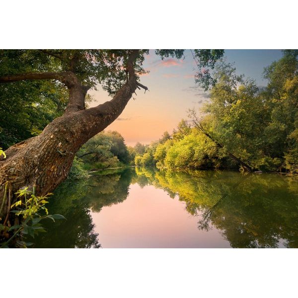 Fototapete Papermoon "Fluss", Bunt, B:4,5M L:2,8M, Vlies, Tapeten-image