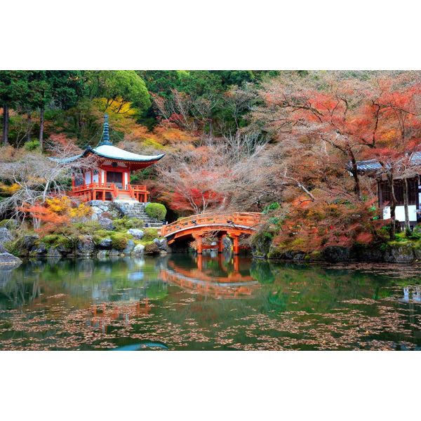 Fototapete Papermoon "Japanischer Garten", Bunt, B:5M L:2,8M, Vlies, Tapeten-image