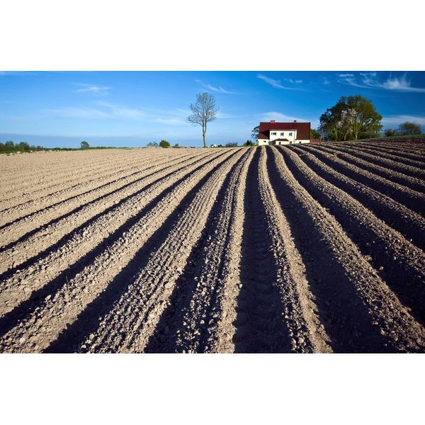 Fototapete Papermoon "Feld", Bunt, B:4,5M L:2,8M, Vlies, Tapeten-image