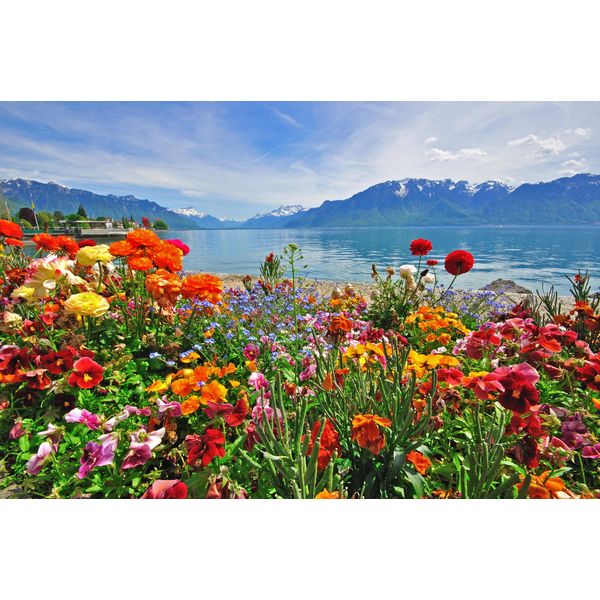Fototapete Papermoon "BLUMEN-DESIGN Natur Landschaft Gebirge Berge Alpen See", Bunt, B:5M L:2,8M, Vlies, Tapeten-image