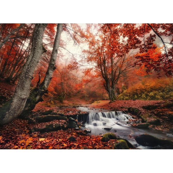Fototapete Papermoon "Foggy Forest Creek", Bunt, B:3,5M L:2,6M, Vlies, Tapeten-image