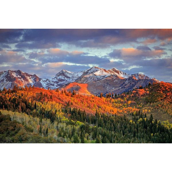 Fototapete Papermoon "GEBIRGE-HERBST Natur Alpen Landschaft Wald BÄUme Berge", Bunt, B:4,5M L:2,8M, Vlies, Tapeten-image