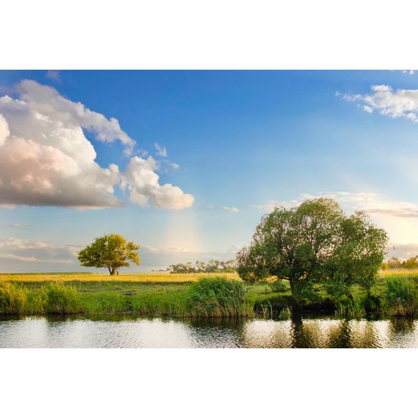 Fototapete Papermoon "River Tree Landscape", Bunt, B:5M L:2,8M, Vlies, Tapeten-image