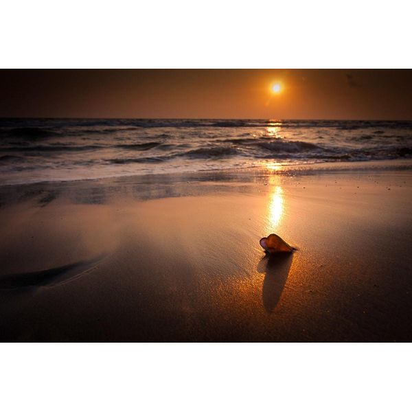 Fototapete Papermoon "Tropischer Strand Sonnenuntergang", Bunt, B:4,5M L:2,8M, Vlies, Tapeten-image