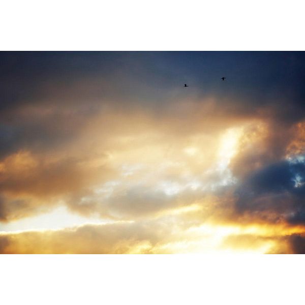 Fototapete Papermoon "Himmel", Bunt, B:3,5M L:2,6M, Vlies, Tapeten-image