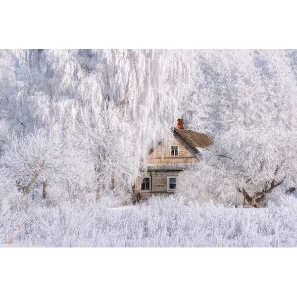 Fototapete Papermoon "Haus In Schneelandschaft", Bunt, B:3,5M L:2,6M, Vlies, Tapeten-image