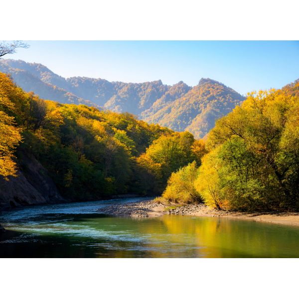 Fototapete Papermoon "Autumn Mountain Forest River", Bunt, B:5M L:2,8M, Vlies, Tapeten-image