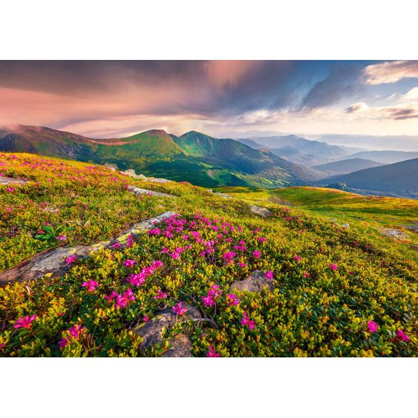 Fototapete Papermoon "BLUMEN-NATUR Landschaft Berge Gebirge Alpen Lavendel", Bunt, B:4M L:2,6M, Vlies, Tapeten-image