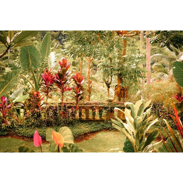 Fototapete Papermoon "Alter Garten", Bunt, B:5M L:2,8M, Vlies, Tapeten-image