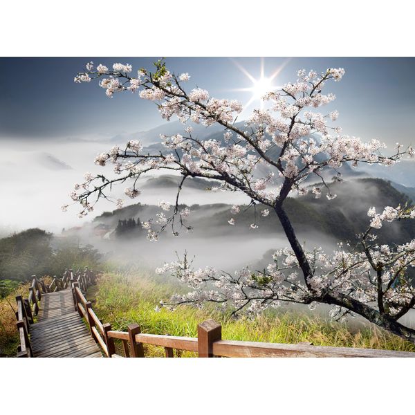 Fototapete papermoon "ORCHIDEEN-TAPETE Natur Landschaft Gebirge Berge Blumen", Bunt, B:4,5M L:2,8M, Vlies, Tapeten-image