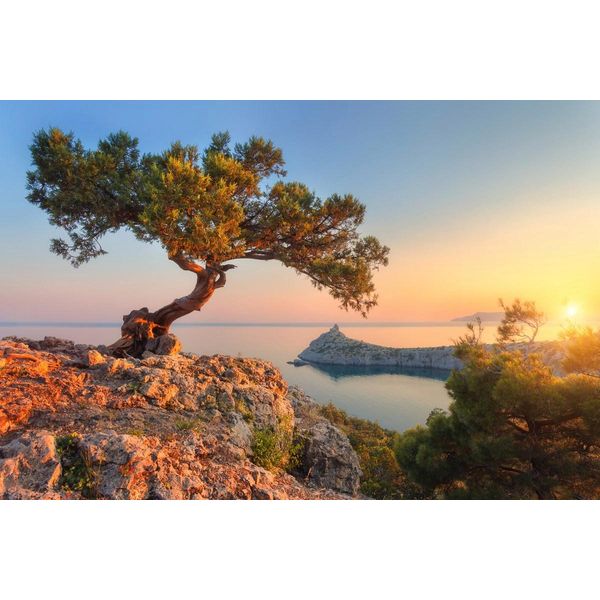 Fototapete Papermoon "Baum Auf Berg", Bunt, B:5M L:2,8M, Vlies, Tapeten-image