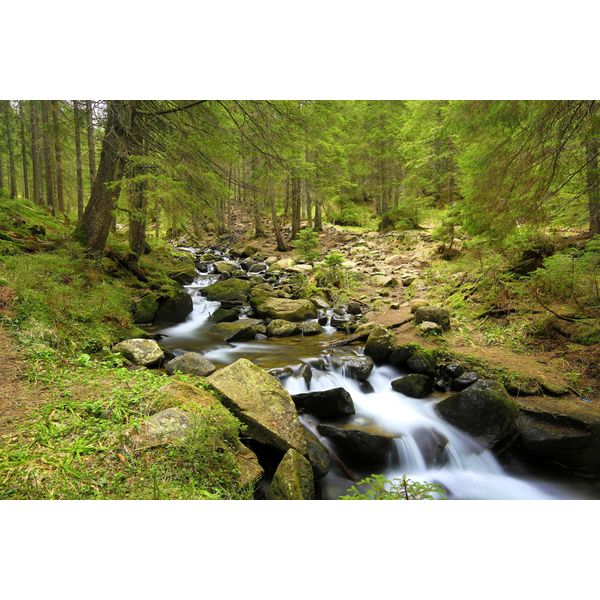 Fototapete Papermoon "Mountain River", Bunt, B:5M L:2,8M, Vlies, Tapeten-image