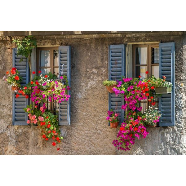 Fototapete Papermoon "Alte Fenster", Bunt, B:3,5M L:2,6M, Vlies, Tapeten-image