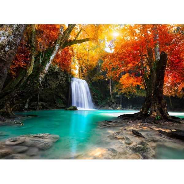 Fototapete Papermoon "Deep Forest Waterfall", Bunt, B:5M L:2,8M, Vlies, Tapeten-image
