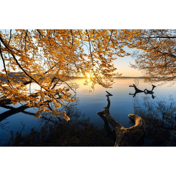 Fototapete Papermoon "Photo-Art Keller, Herbstmorgen", Bunt, B:5M L:2,8M, Vlies, Tapeten-image