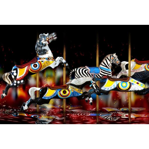 Fototapete Papermoon "Tiere", Bunt, B:4M L:2,6M, Vlies, Tapeten-image