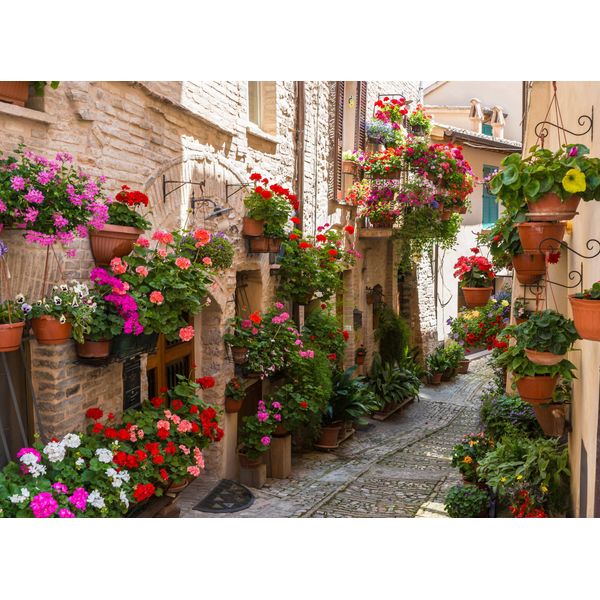 Fototapete Papermoon "Flower Alley In Spello", Bunt, B:4M L:2,6M, Vlies, Tapeten-image