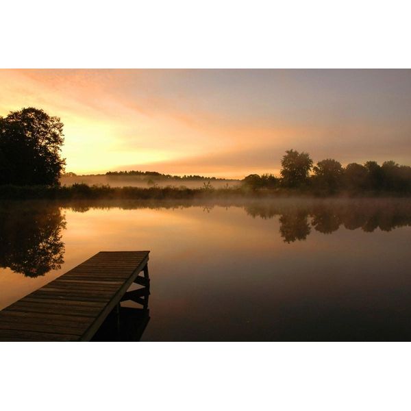 Fototapete Papermoon "Morgenstille Am See", Bunt, B:5M L:2,8M, Vlies, Tapeten-image