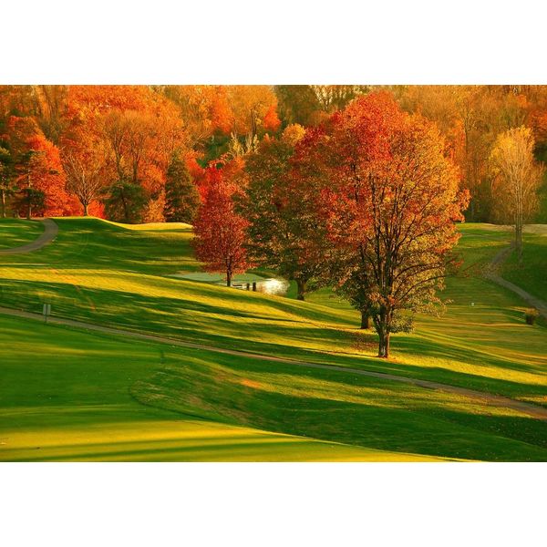 Fototapete Papermoon "Herbst Feld", Bunt, B:4,5M L:2,8M, Vlies, Tapeten-image