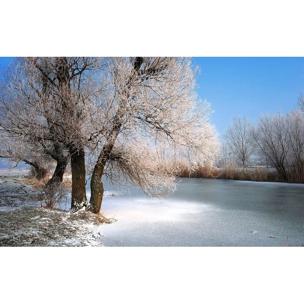 Fototapete Papermoon "Winter Fluss", Bunt, B:5M L:2,8M, Vlies, Tapeten-image