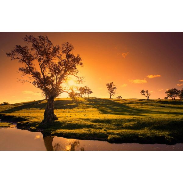 Fototapete Papermoon "Landschaft Mit Fluss", Bunt, B:4,5M L:2,8M, Vlies, Tapeten-image