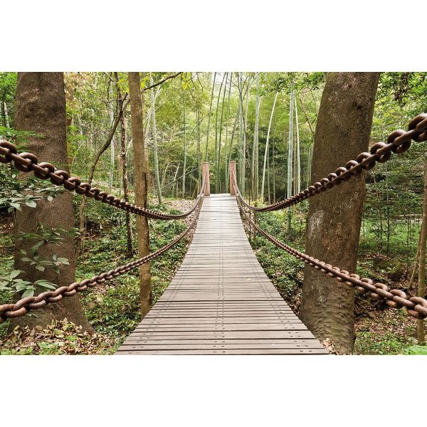 Fototapete Papermoon "Suspension Bridge", Bunt, B:5M L:2,8M, Vlies, Tapeten-image