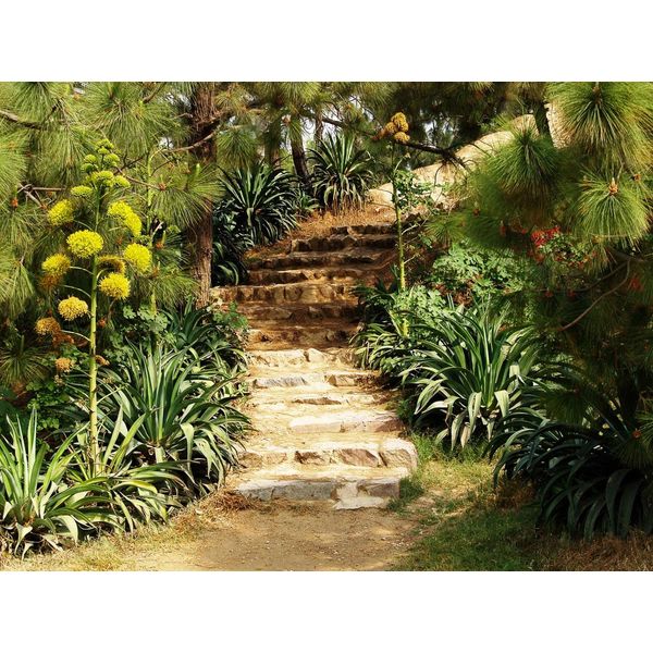 Fototapete Papermoon "Hill Garden", Bunt, B:5M L:2,8M, Vlies, Tapeten-image