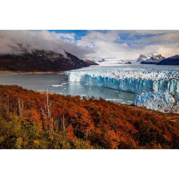Fototapete Papermoon "GLETSCHER-PATAGONIEN Gebirge Wald Berge Sonne Steine", Bunt, B:5M L:2,8M, Vlies, Tapeten-image