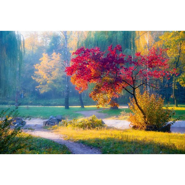Fototapete Papermoon "Park", Bunt, B:4,5M L:2,8M, Vlies, Tapeten-image