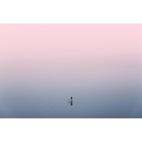 Fototapete Papermoon "Ente Im Wasser", Bunt, B:5M L:2,8M, Vlies, Tapeten-image