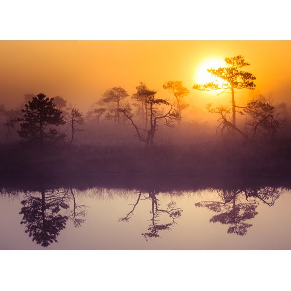 Fototapete Papermoon "Misty Morning Scenery", Bunt, B:3,5M L:2,6M, Vlies, Tapeten-image